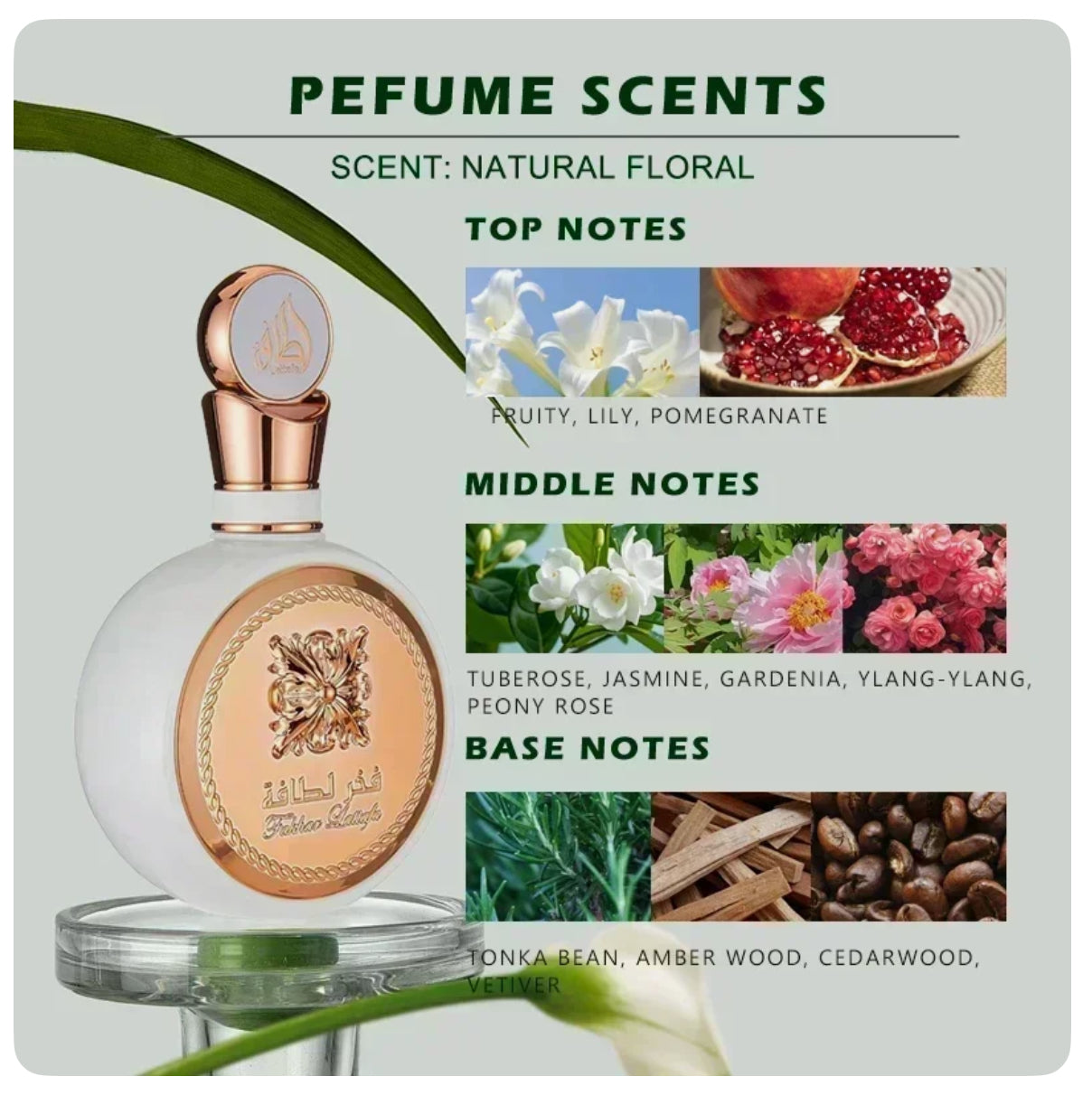 Fakhar Lataffa by Lataffa